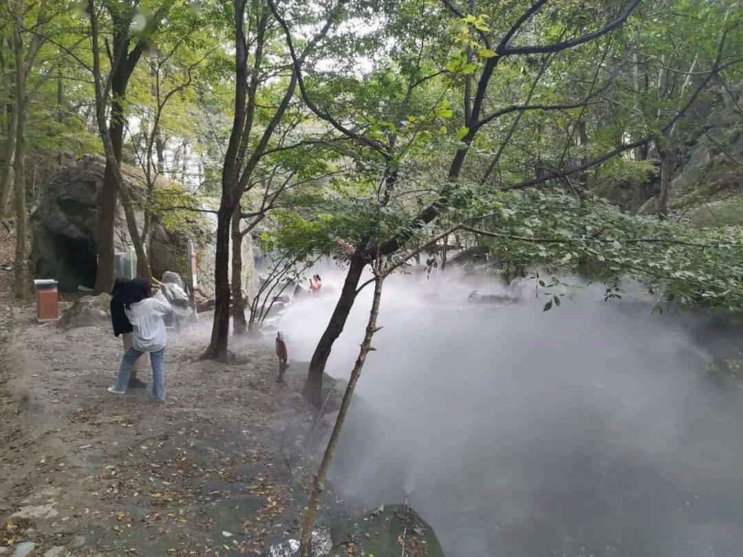 油价大涨 因武装分子发动袭击后红海风险上升